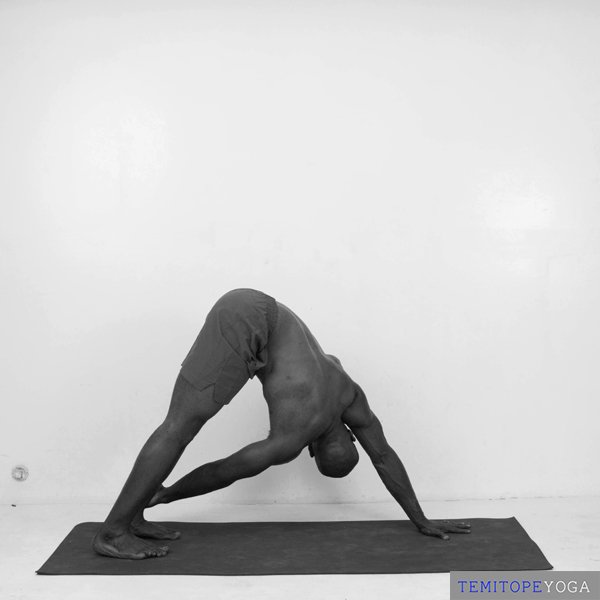 Revolved Downward-Facing Dog
