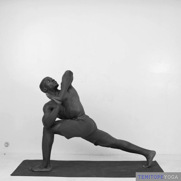 Revolved Side Angle Pose