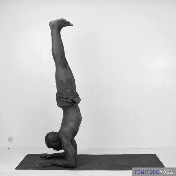 Forearm Stand, variation