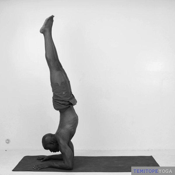 Forearm Stand