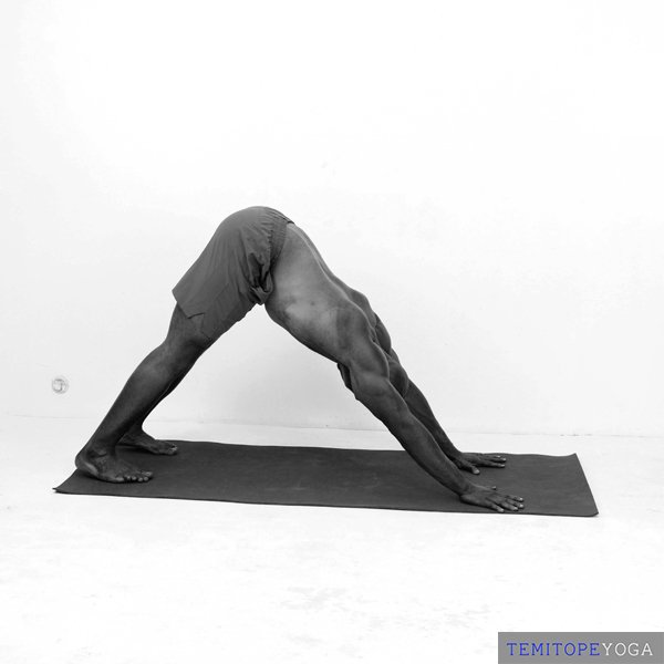 Downward-Facing Dog