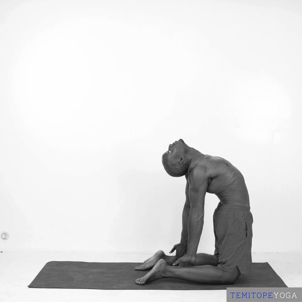Camel Pose