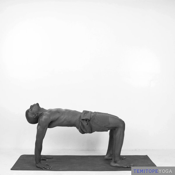Upward Plank, variation