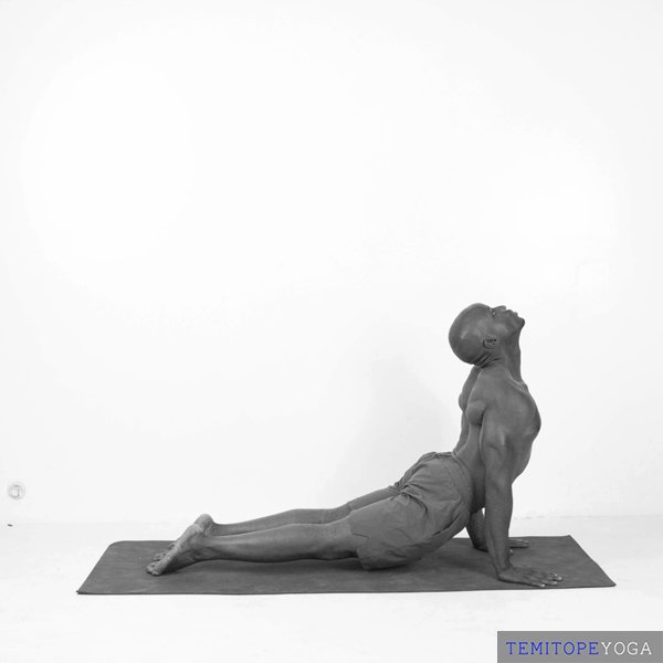Upward-Facing Dog